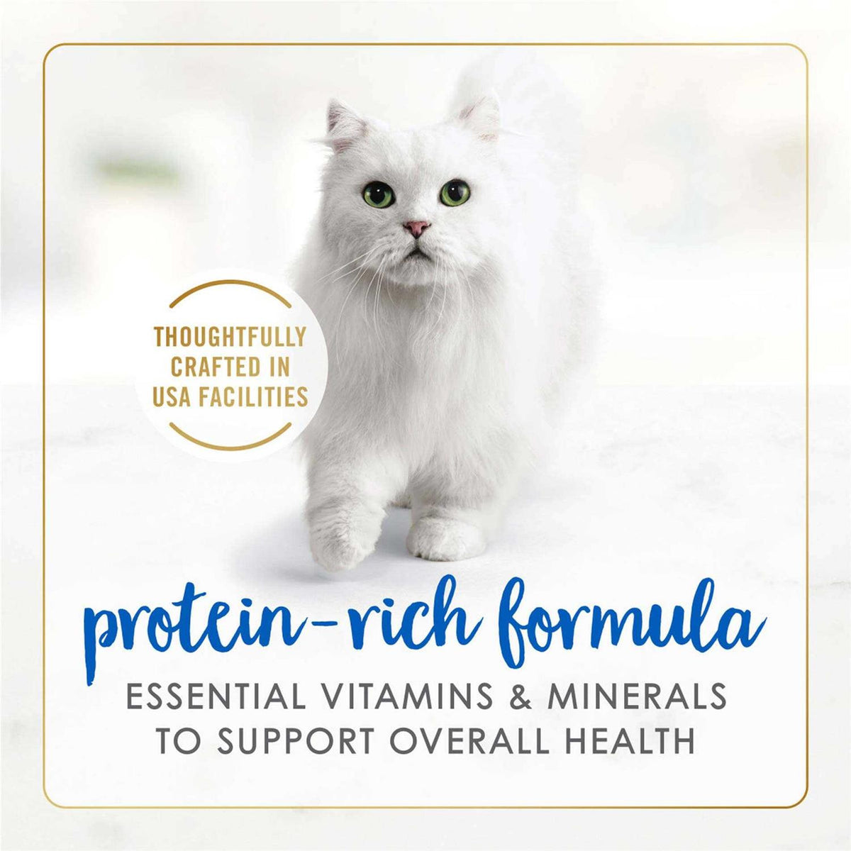 Wet Cat Food P1214