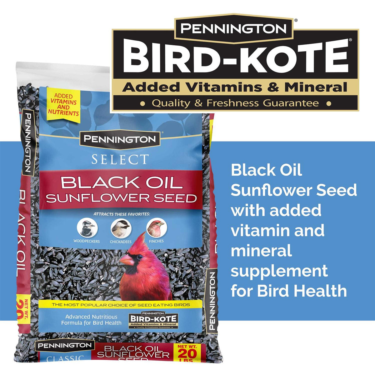 Black Oil Sunflower Seed Wild Bird Feed N3614