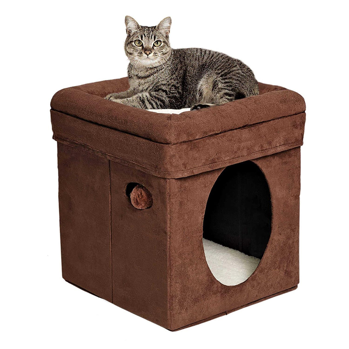 Curious Cat Cube E626475