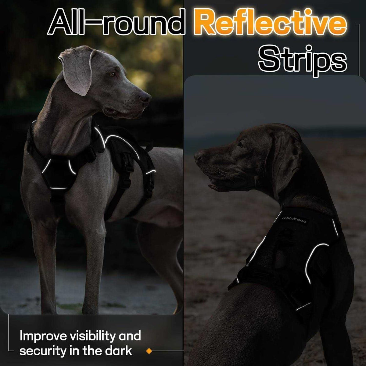 Adjustable Soft Padded Dog Harness S421