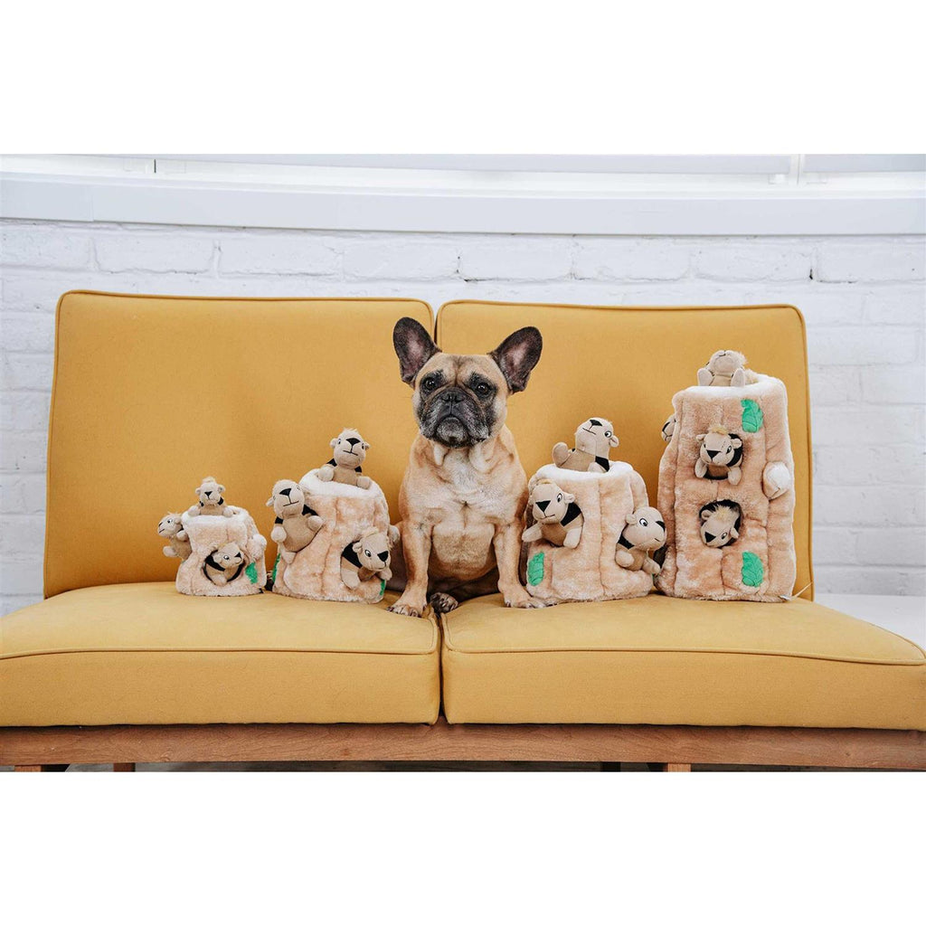 Hide A Squirrel Dog Toy J685820