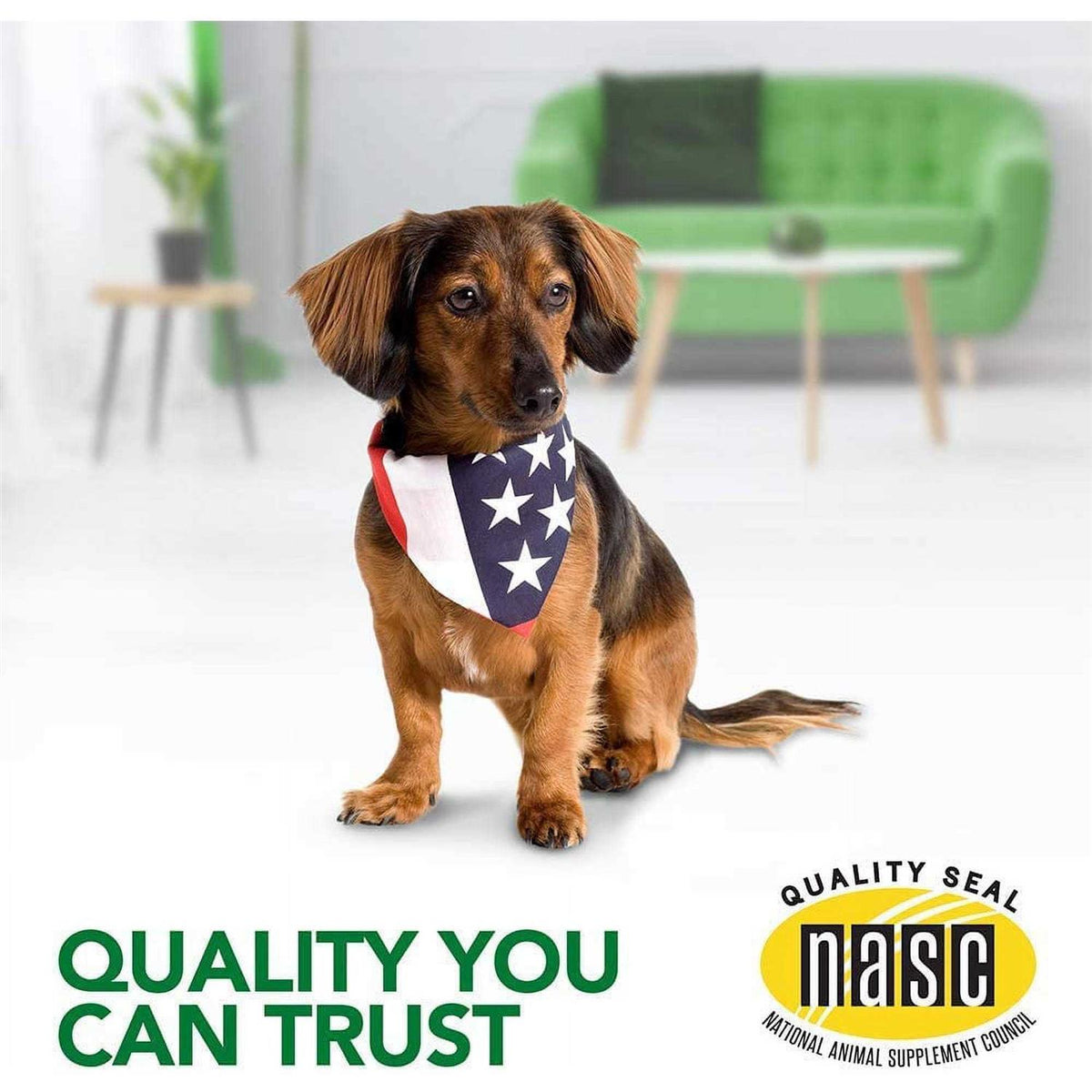 Dog Supplement D2849