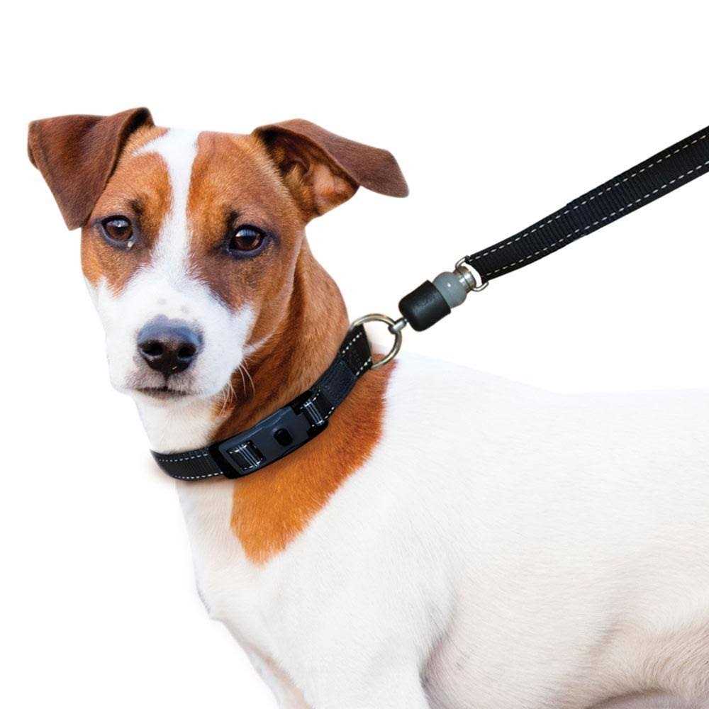 Quick-Connect Dog Leash H11977