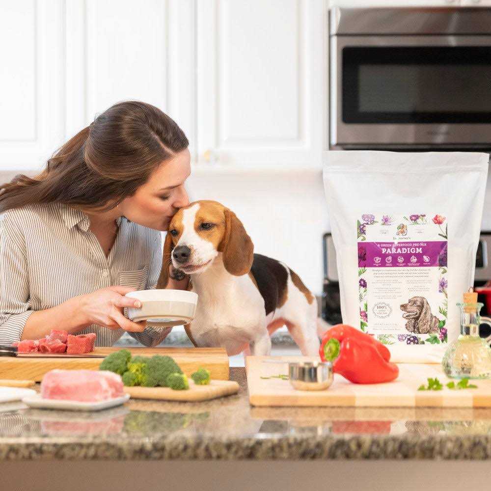Dog Food O747844