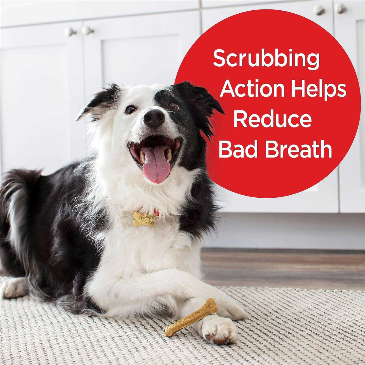 Brushing Chews Dental Dog Treats S306521