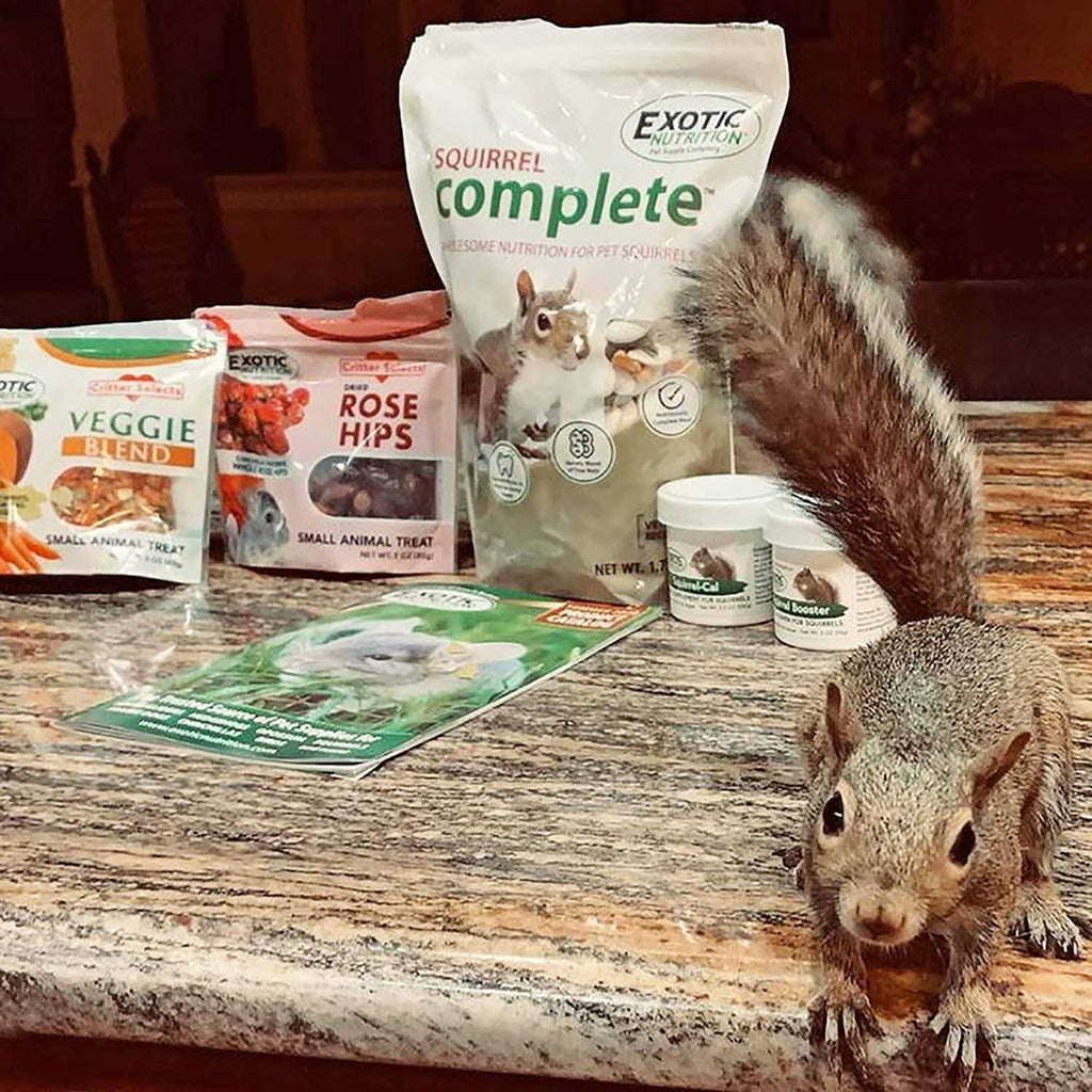 Squirrel Food Starter Package L720