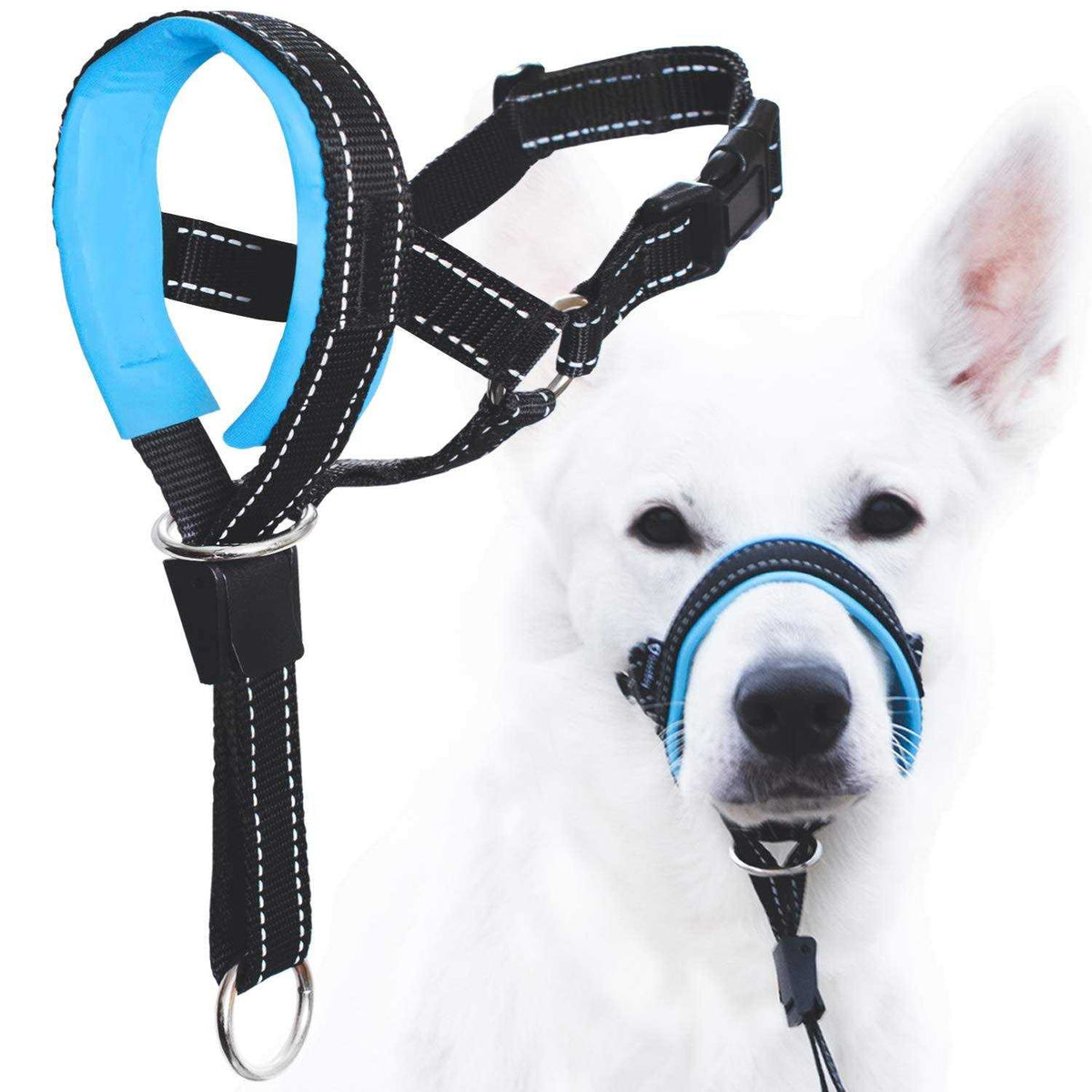 Dog Head Halter with Safety Strap R9854