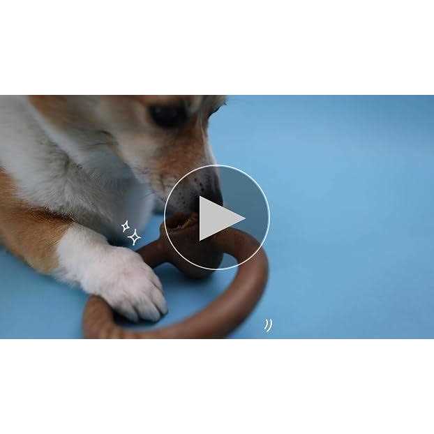 Durable Chew Toy for Aggressive Chewers Q87064