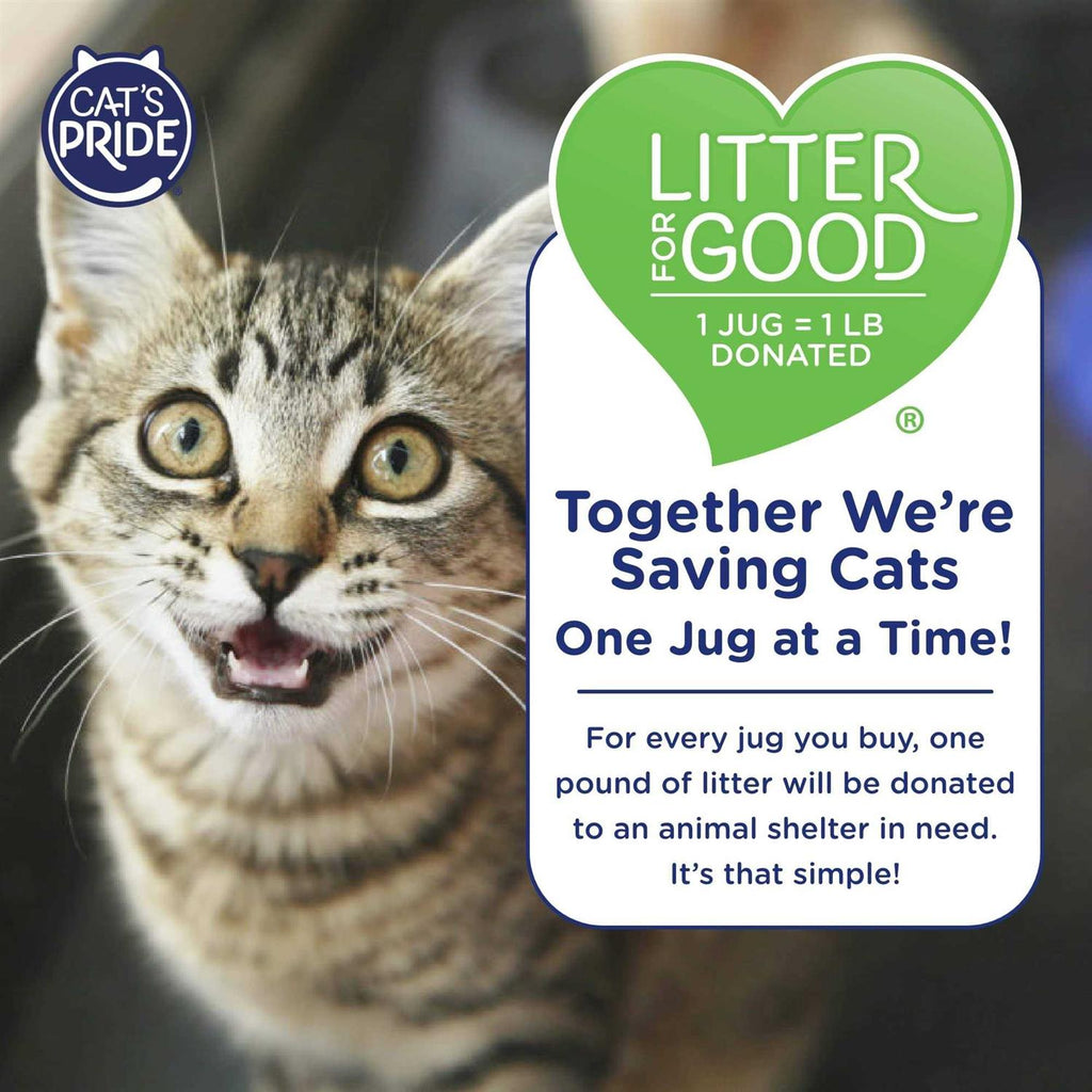 Multi-Cat Clumping Litter N94055