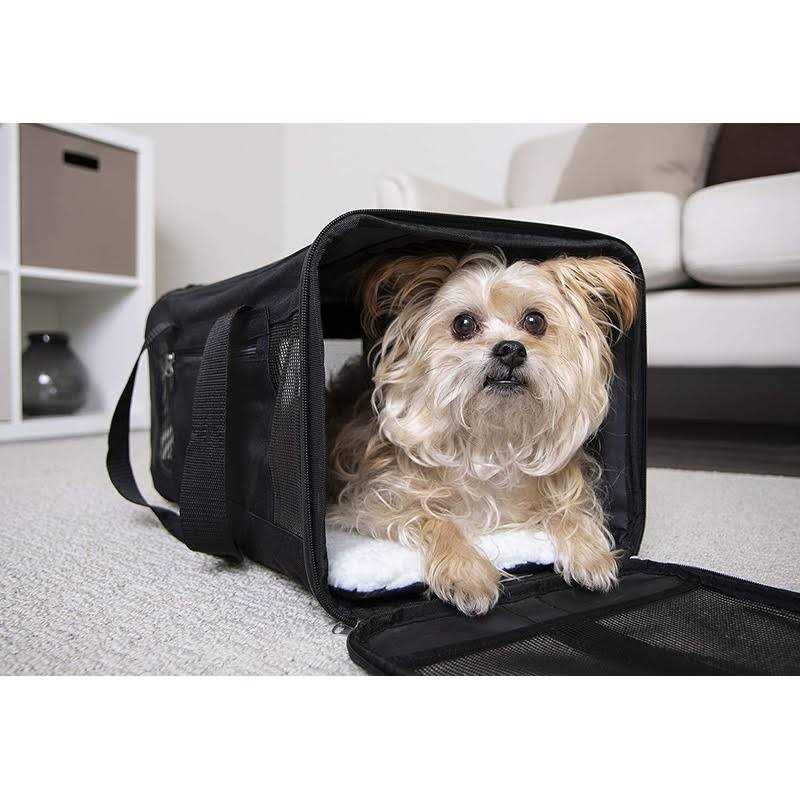 Travel Pet Carrier K564