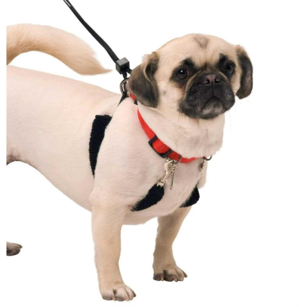 Training Halter R864939