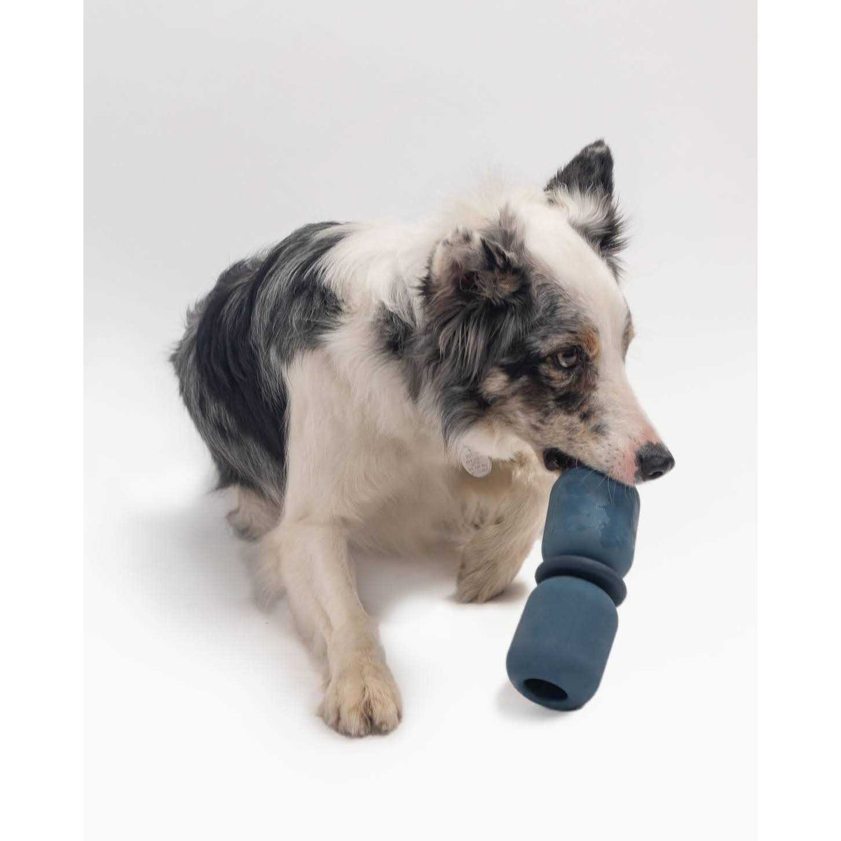 Customizable Dog Puzzle Toy & Chew Toy G17499