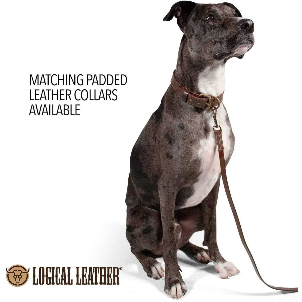 Leather Dog Leash A1079