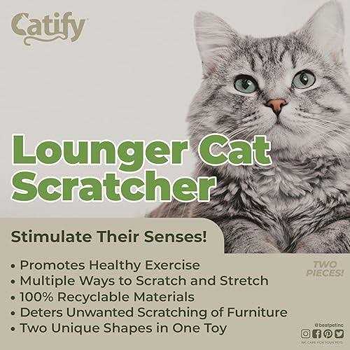 Catify by Best Pet Supplies Y31687