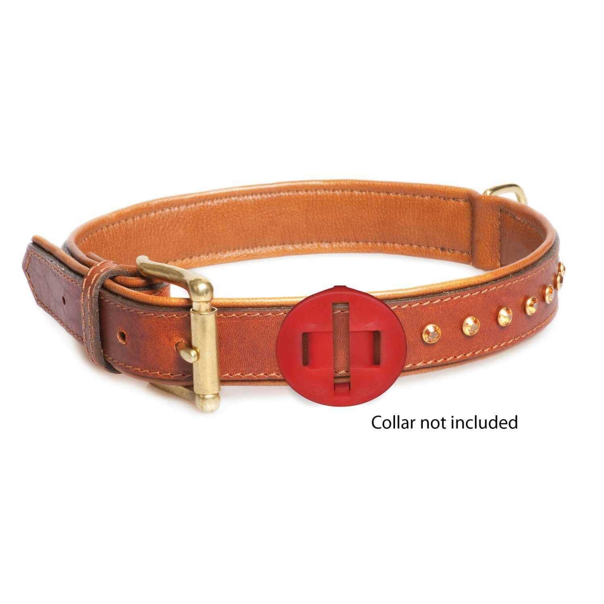 Calming Disk for Dog Collars B242612