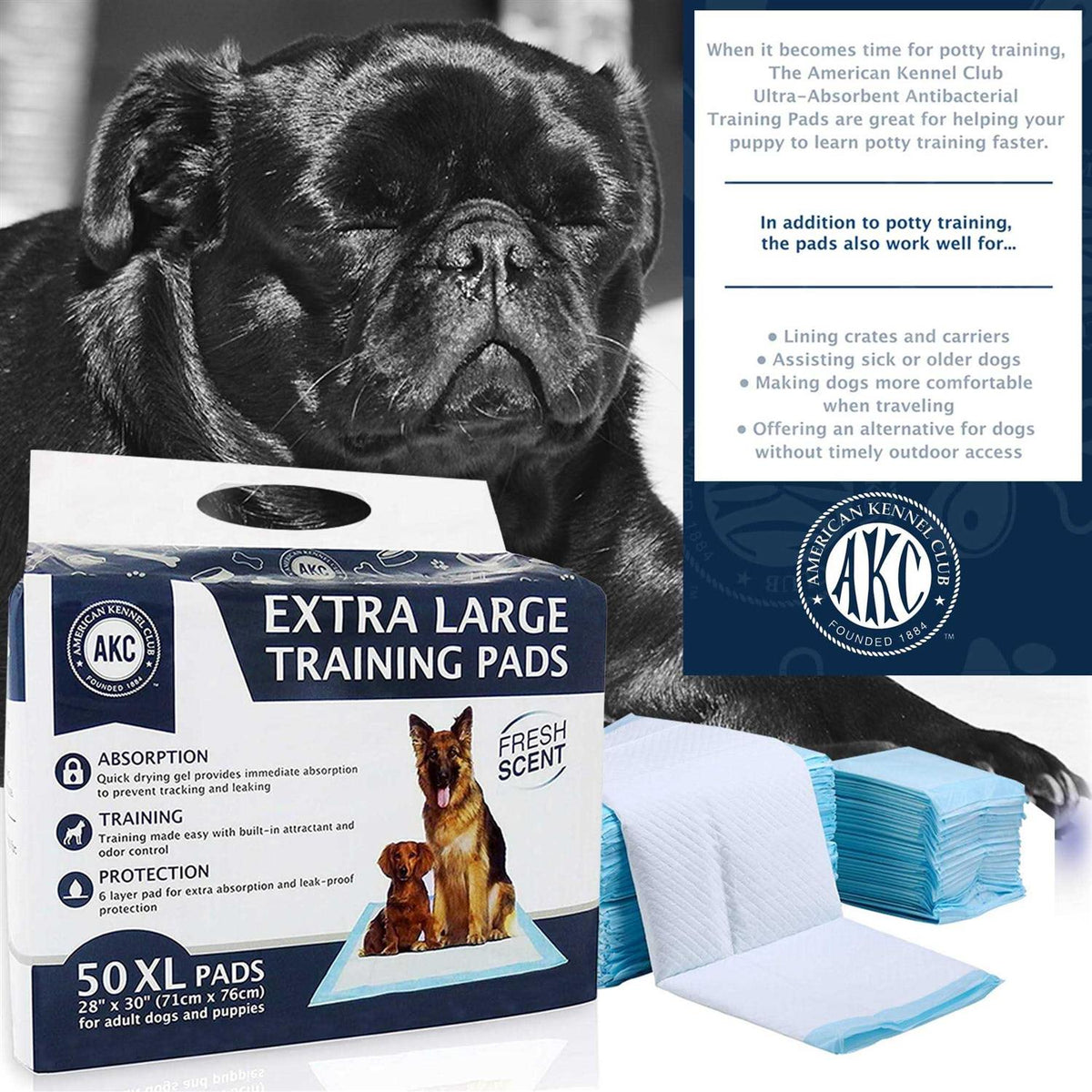 Training Pads A6121