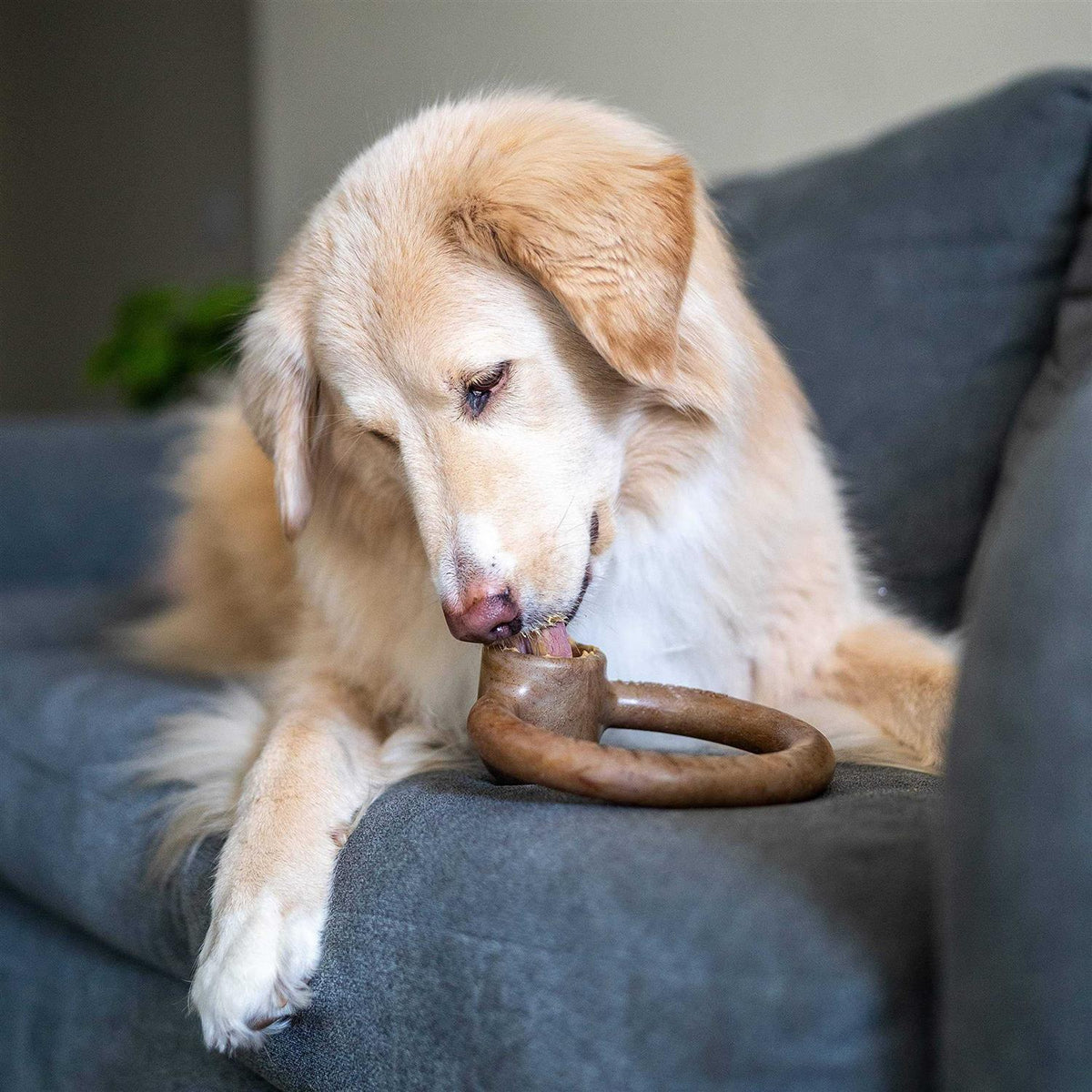 Durable Chew Toy for Aggressive Chewers Q87064