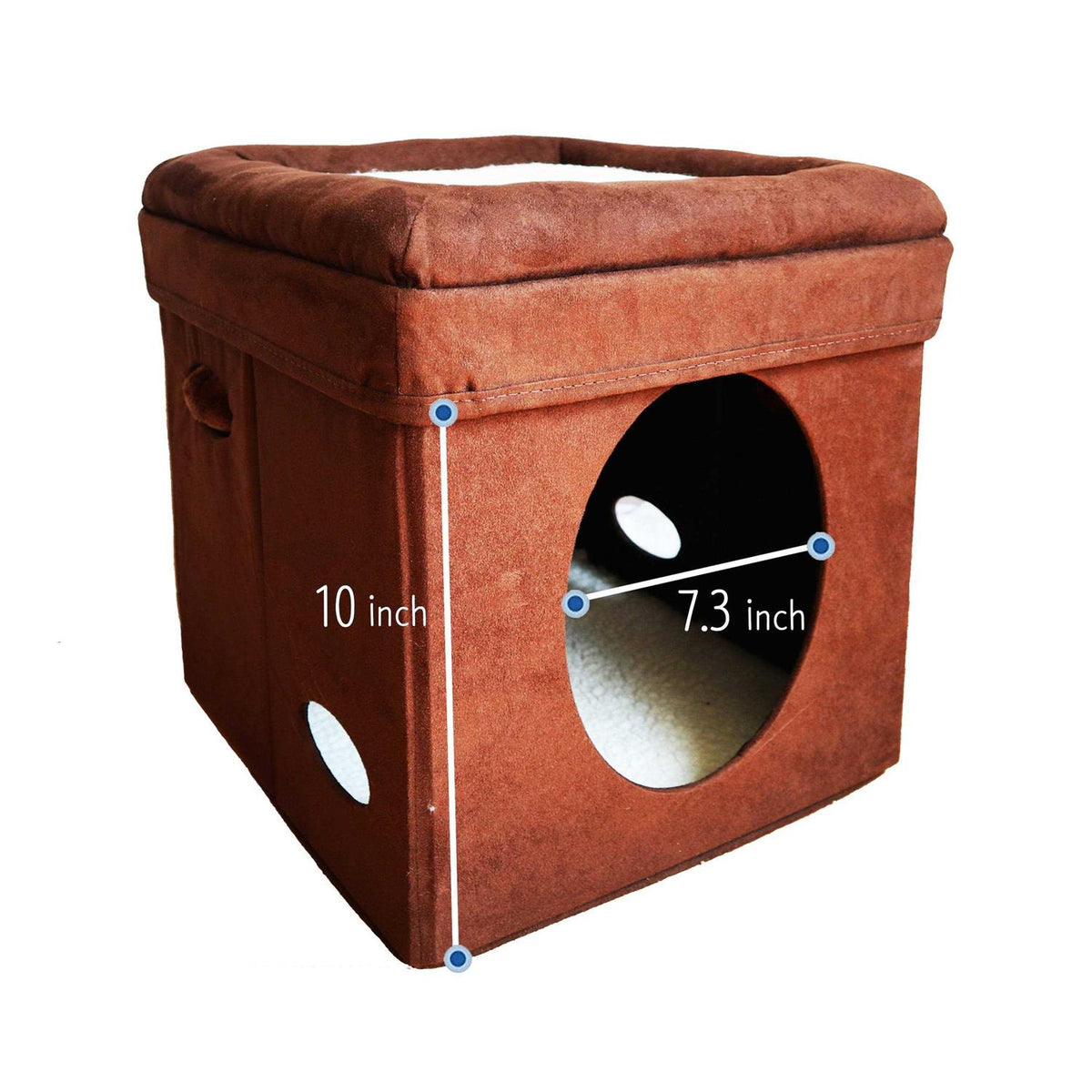 Curious Cat Cube E626475