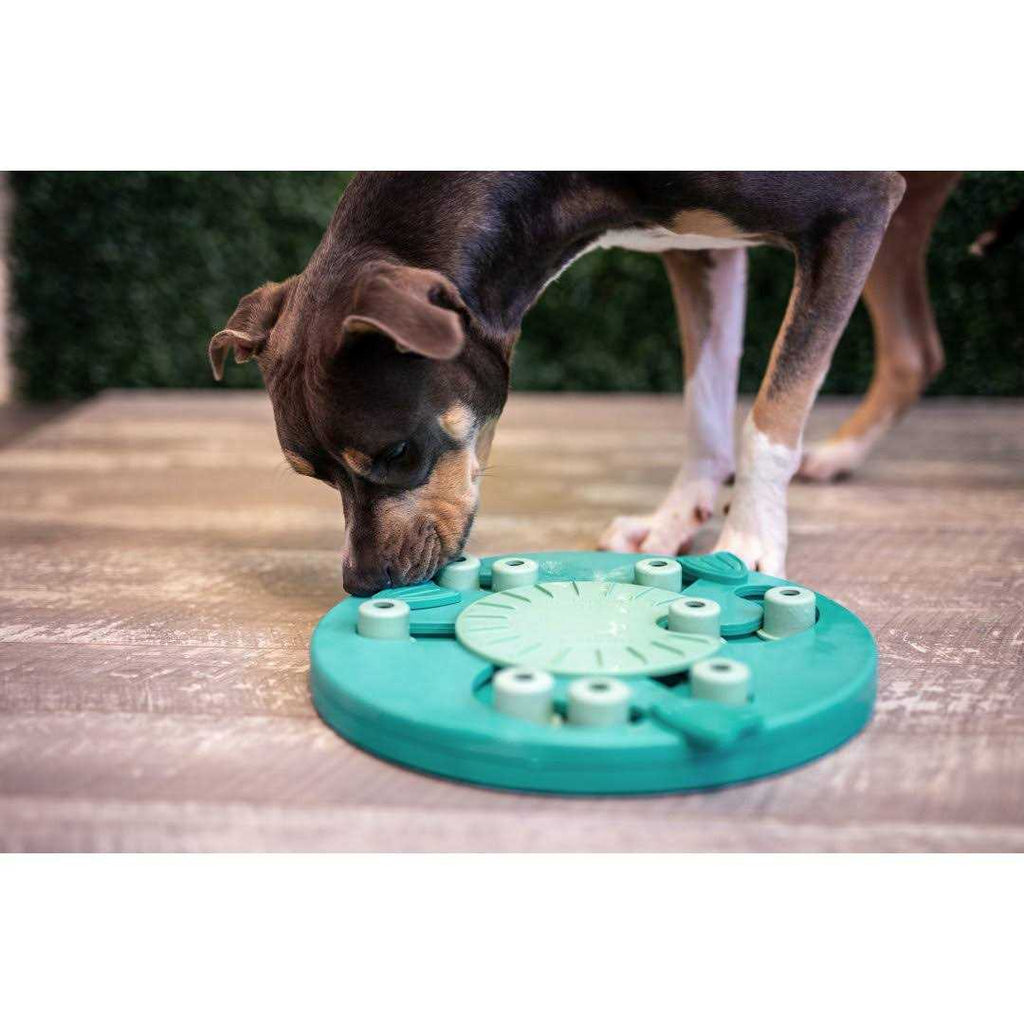 Interactive Puzzle Dog Toy W110