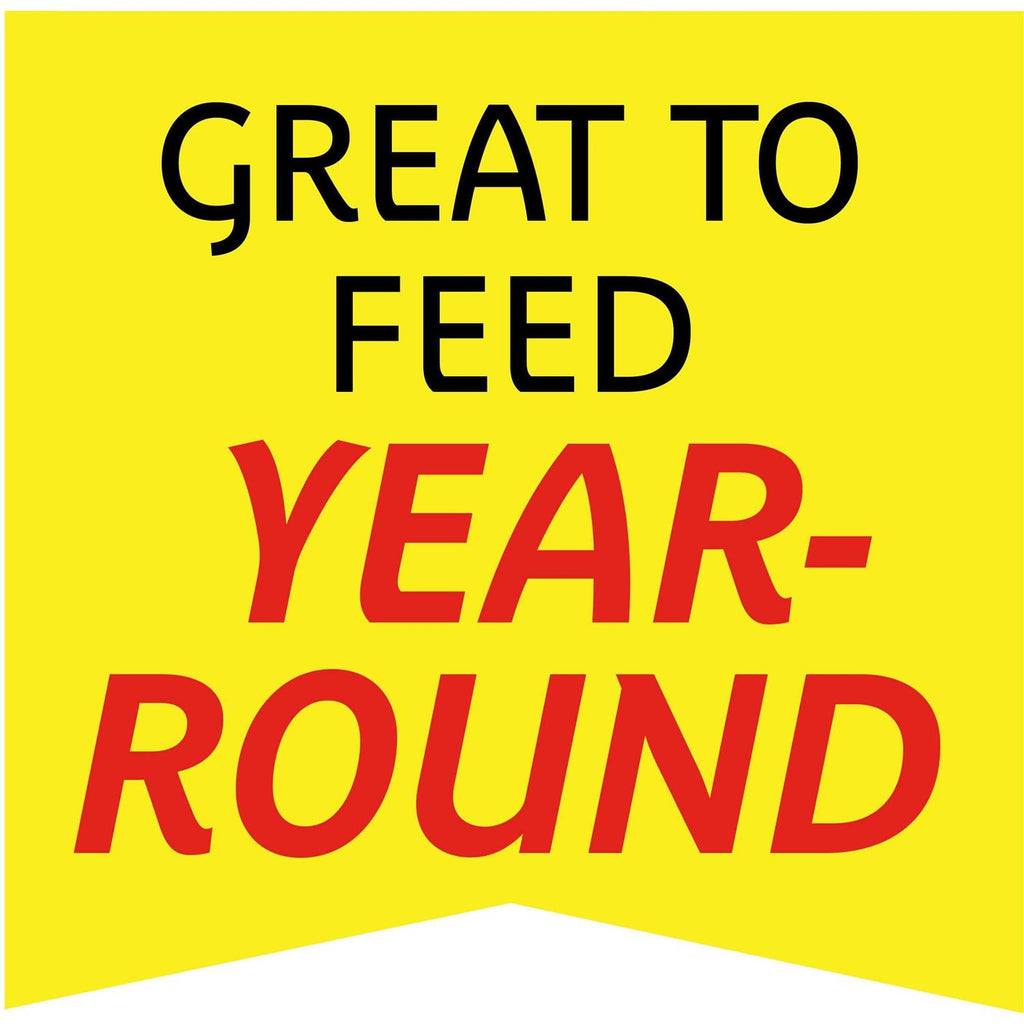 Wild Bird Feed and Seed V4933