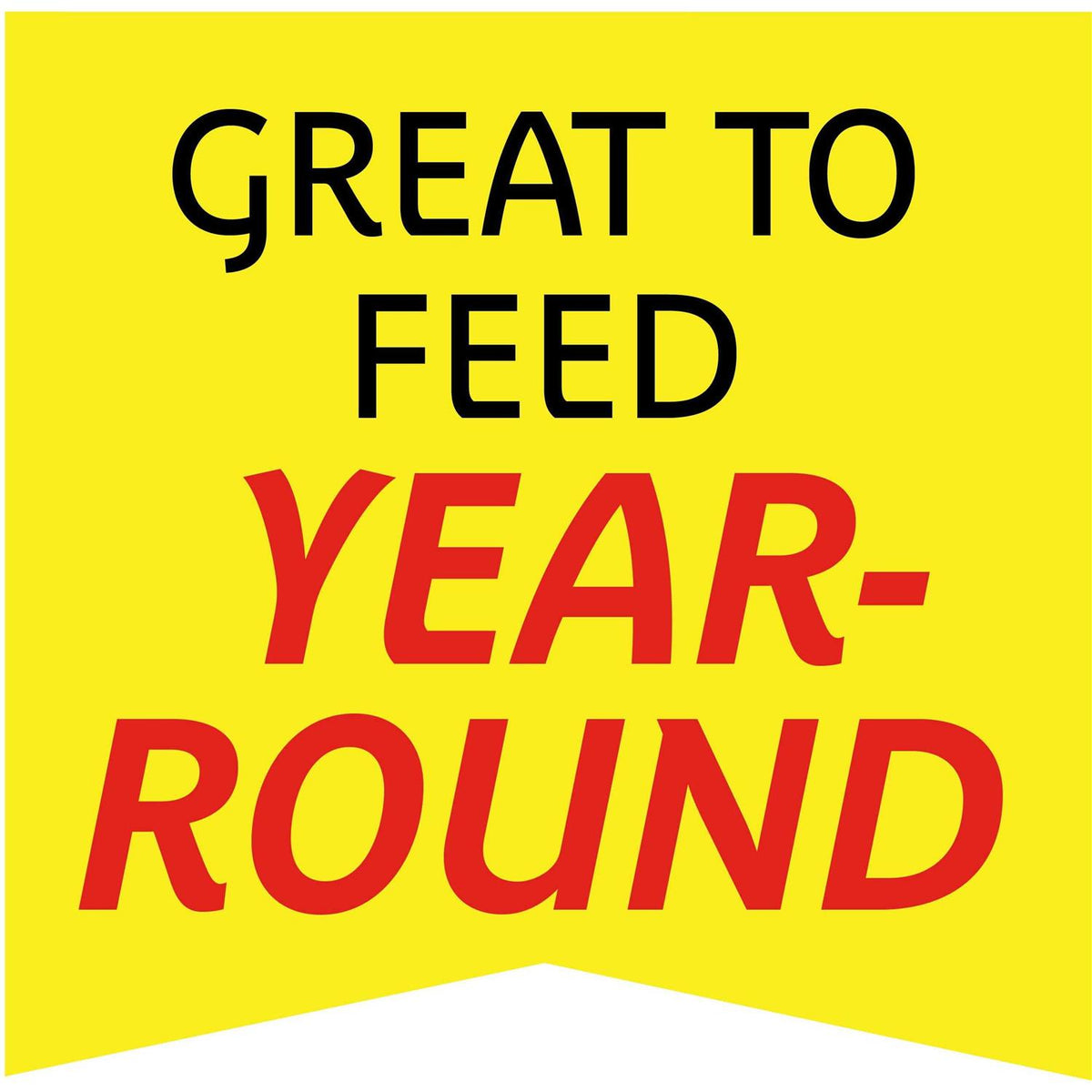 Wild Bird Feed and Seed V4933