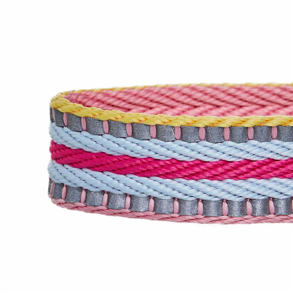 Reflective Multi-Colored Stripe Dog Collar L889584