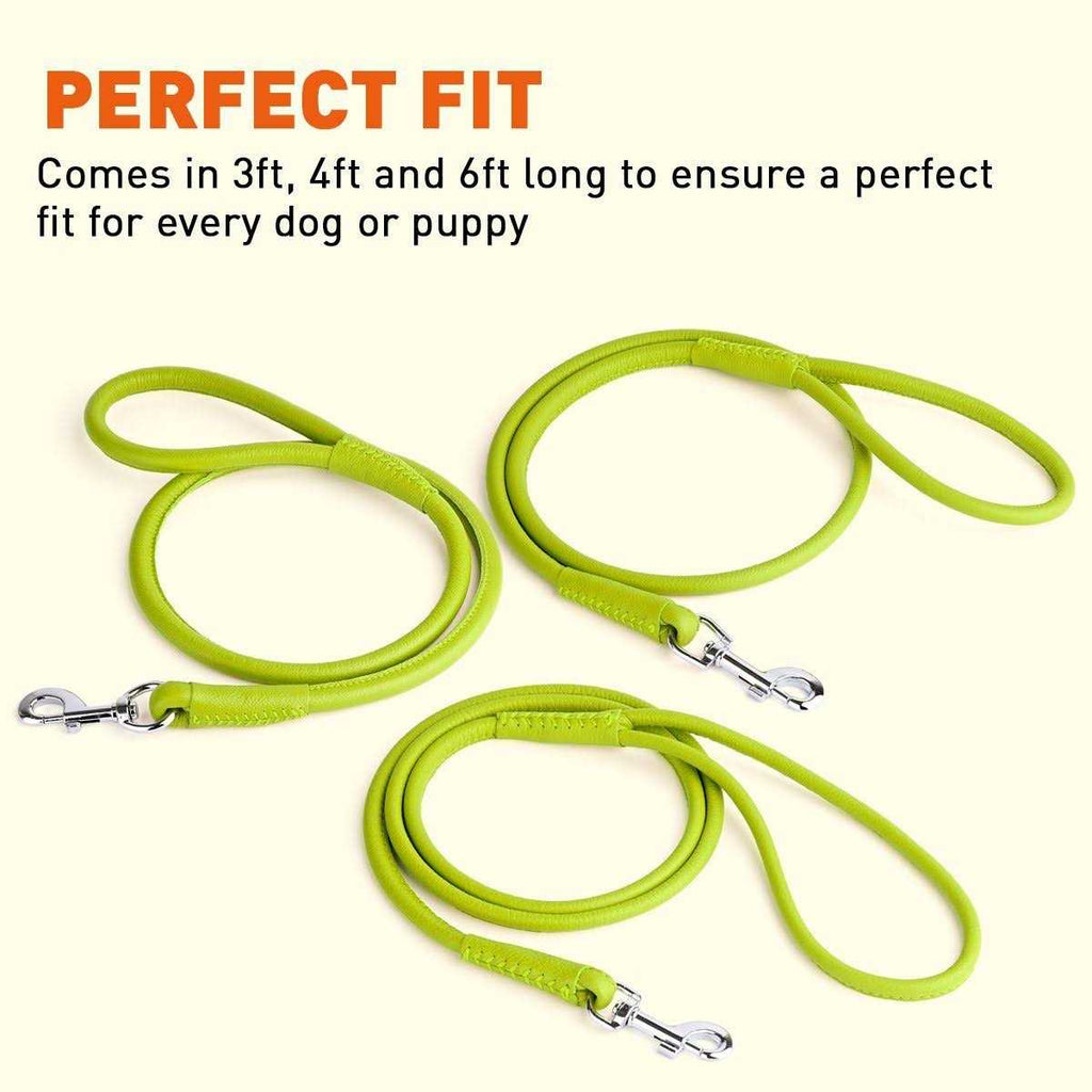 Soft Leather Round Leash Z9885