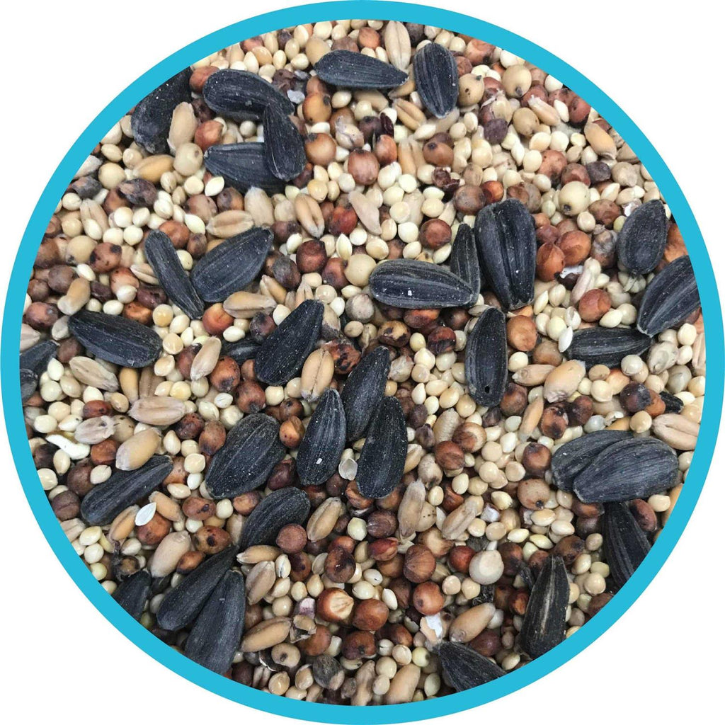 Wild Bird Feed and Seed V4933