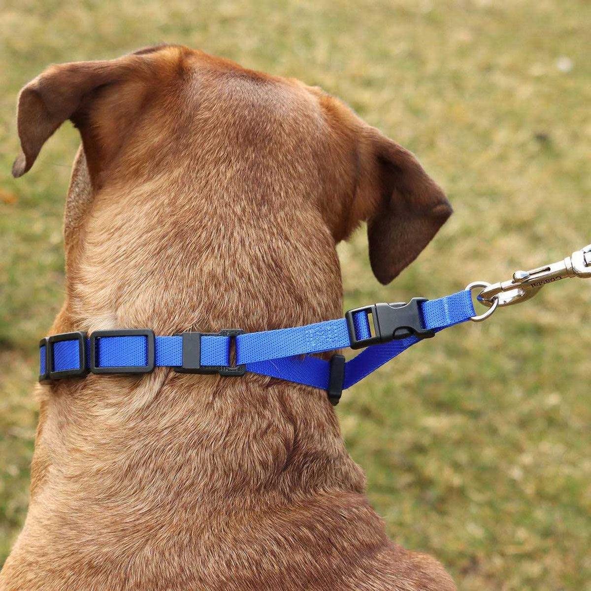 Natural Control Training Collar C61939