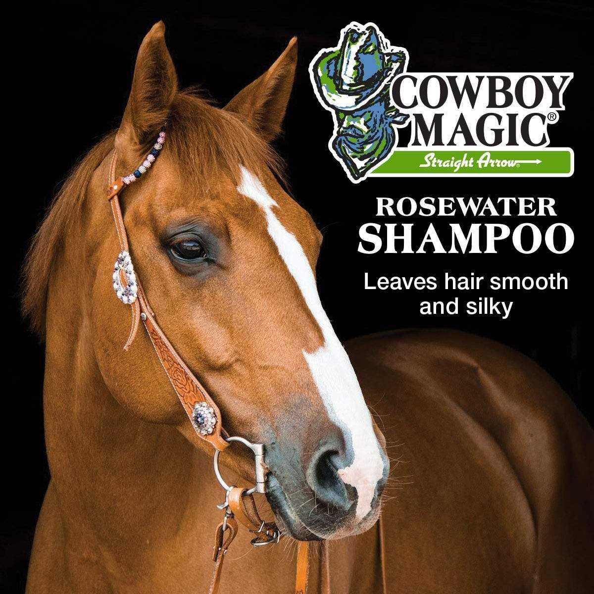 Shampoo + Conditioner 32 Ounce Bottles Detangler and Shine 4oz R9849