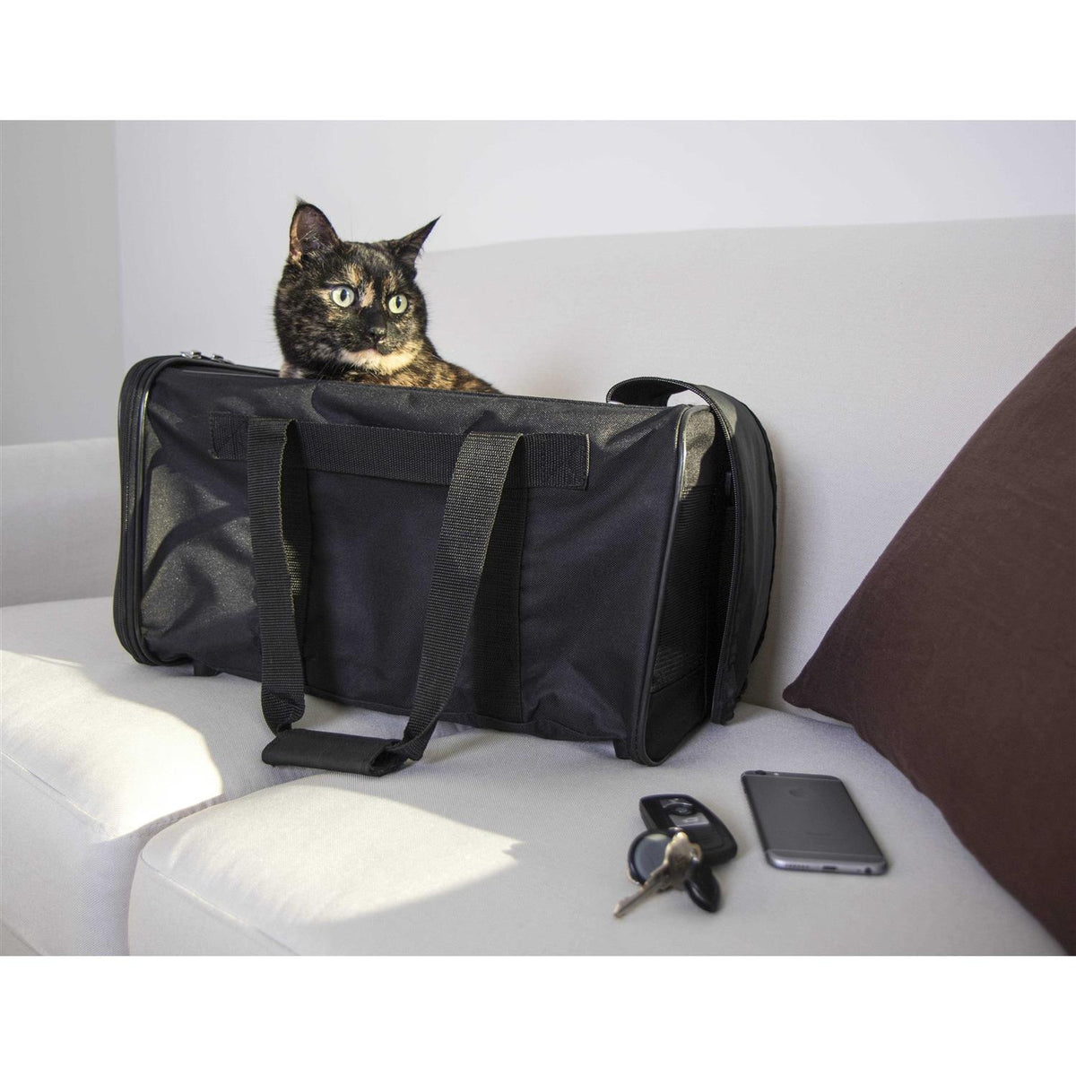 Travel Pet Carrier K564