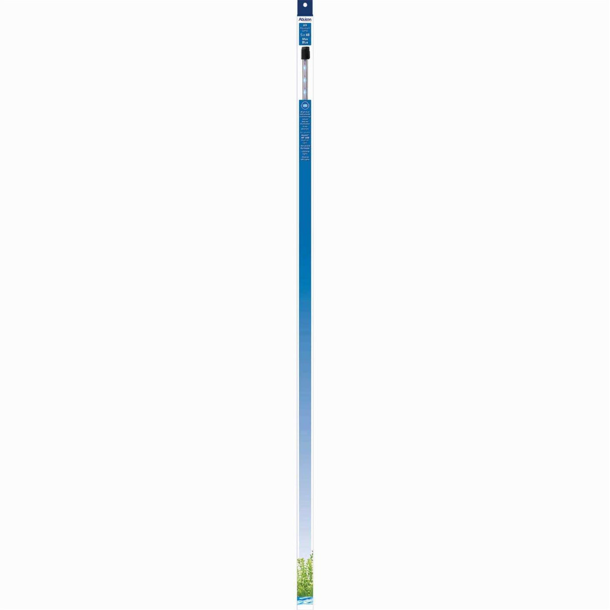 Blue LED Lamp C38320
