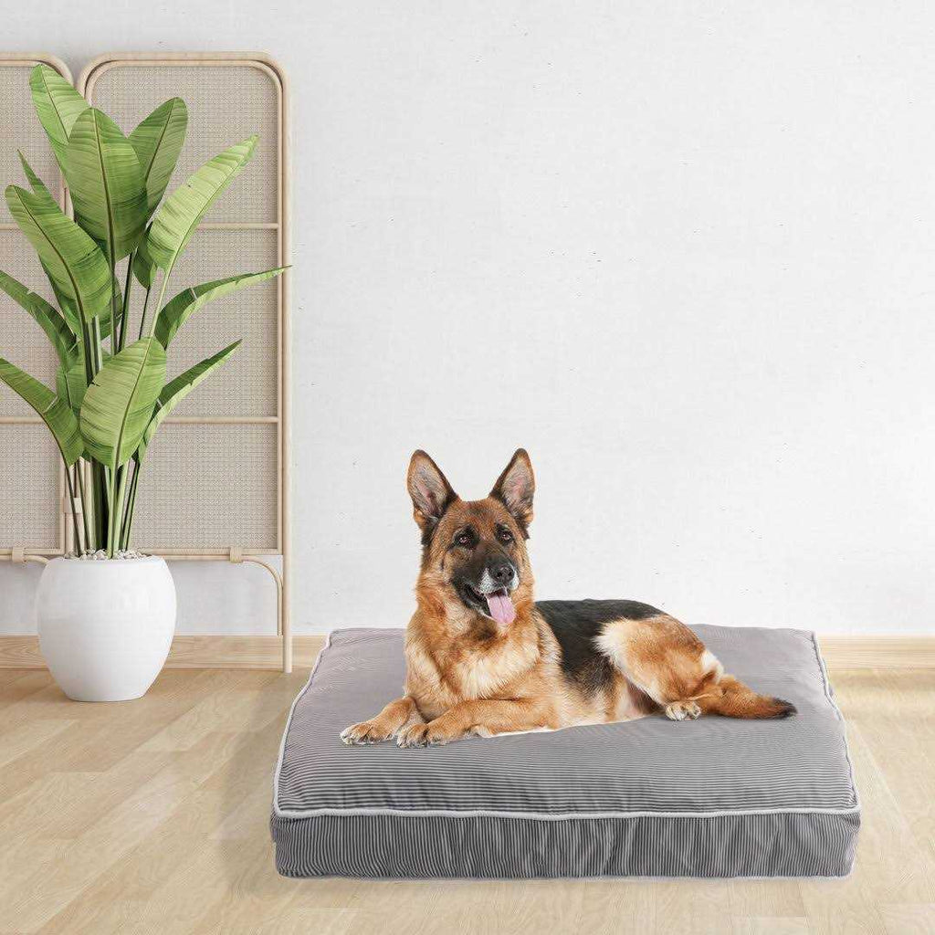 Orthopedic Pet Bed K952068