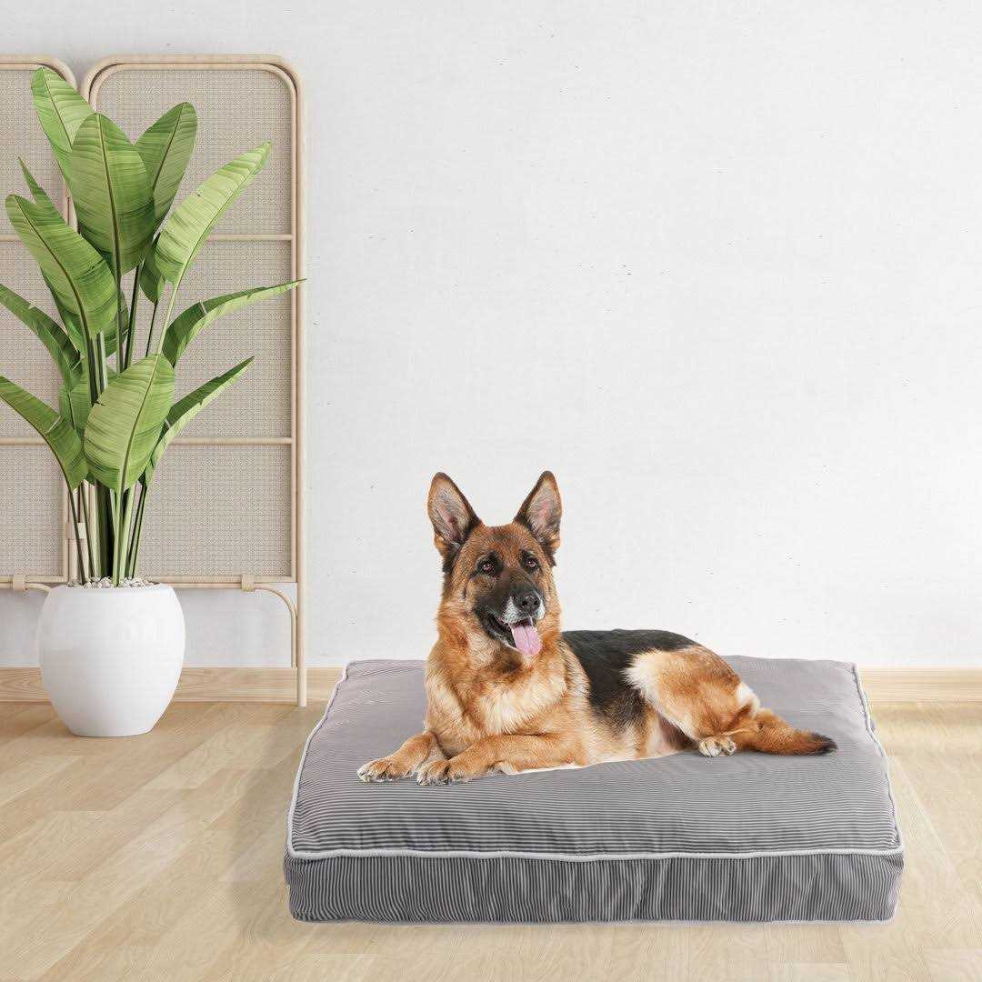 Orthopedic Pet Bed K952068
