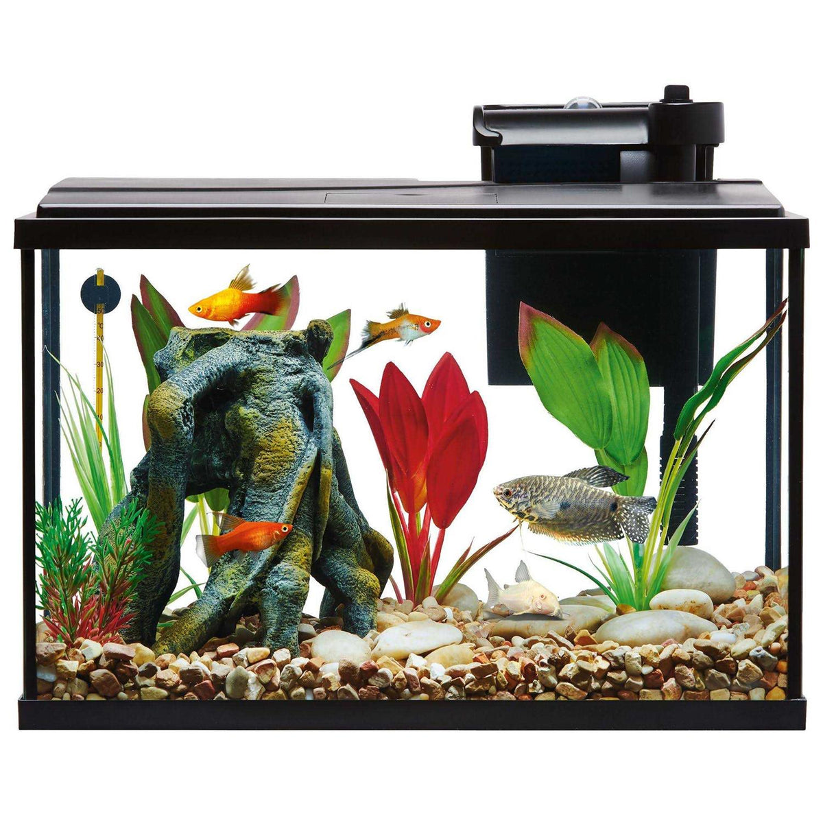 Aquarium Tank Starter Kit M364290