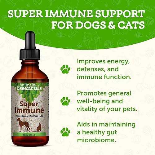 Super Immune I677