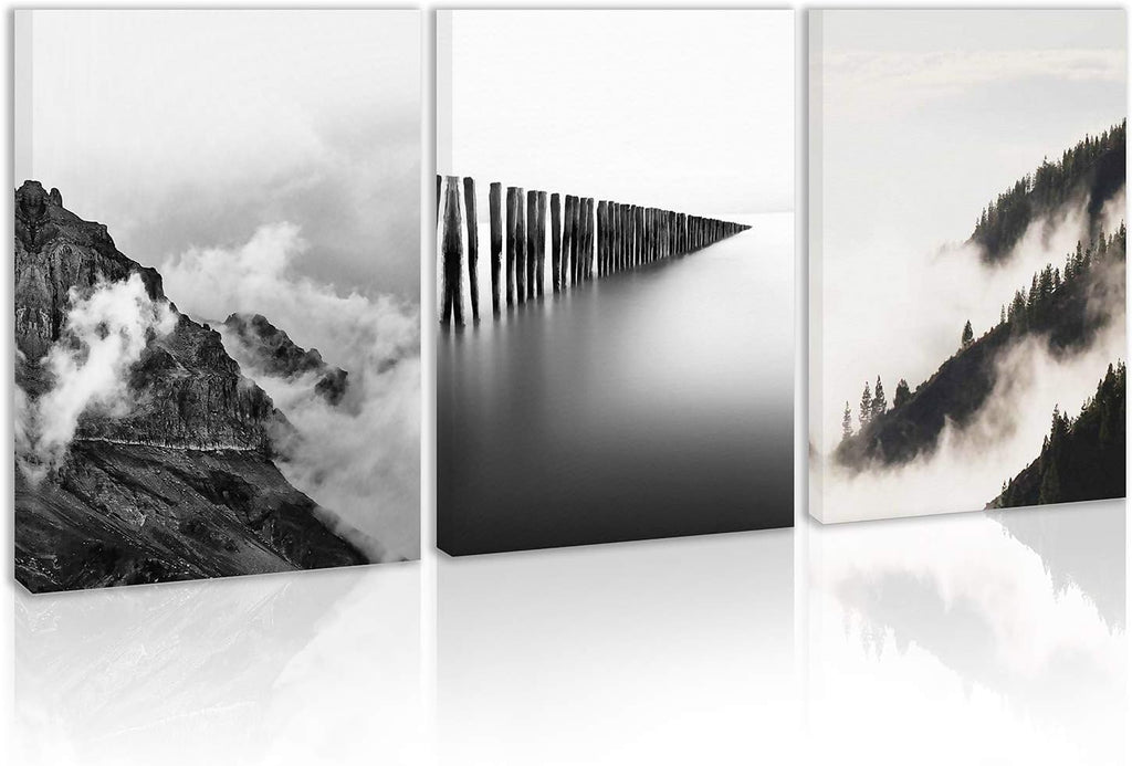 Black and White Canvas Wall Art T851490