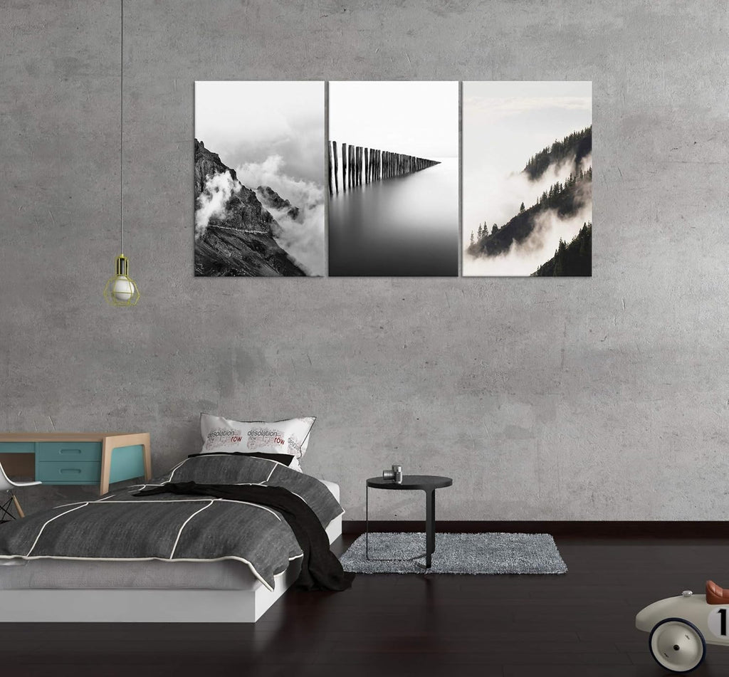 Black and White Canvas Wall Art T851490