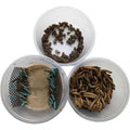 Dubia Small Roach Hornworm & Superworm Live Feeder Combo Reptile Food E474984