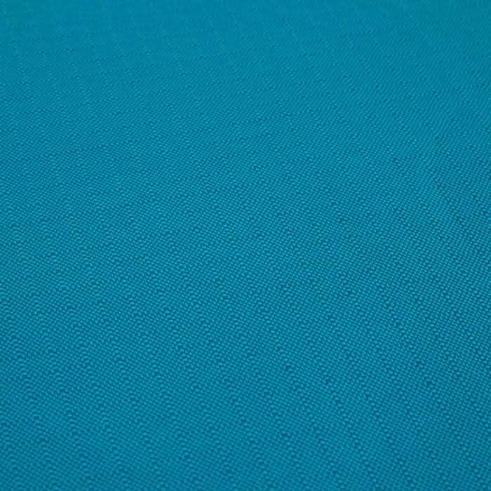Teal Dog Mat Y30380