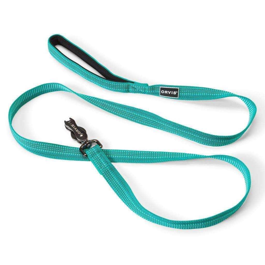 Dog Collar Z5157