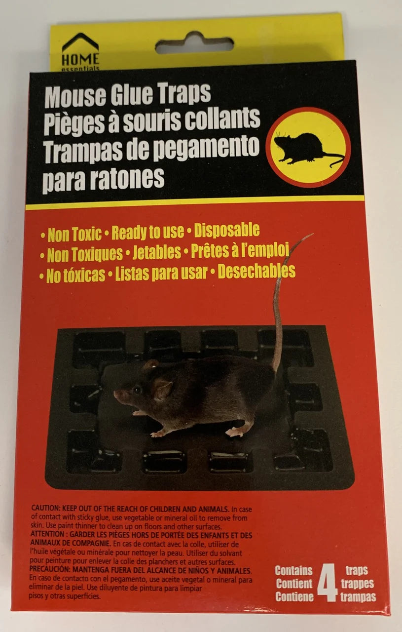 Mouse Glue Traps J479273