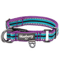 Reflective Multi-Colored Stripe Dog Collar L889584