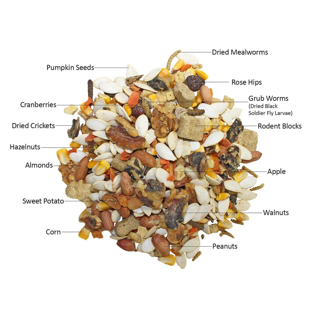 Squirrel Food Starter Package L720