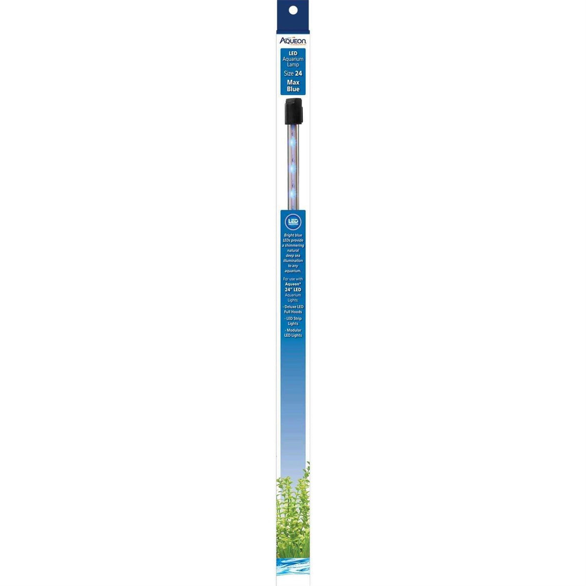 Blue LED Lamp C38320