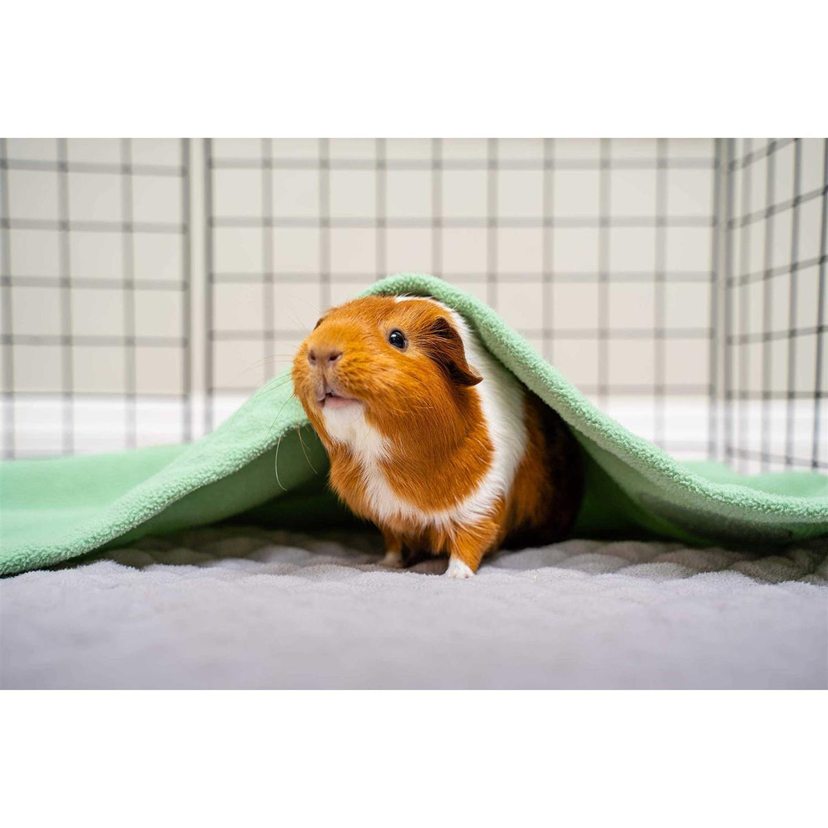 Guinea Pig Fleece Cage Liner Z43914