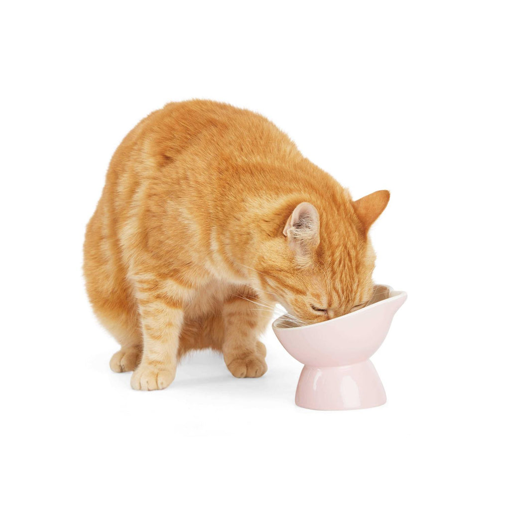 Elevated Cat Ear Bowl F21739