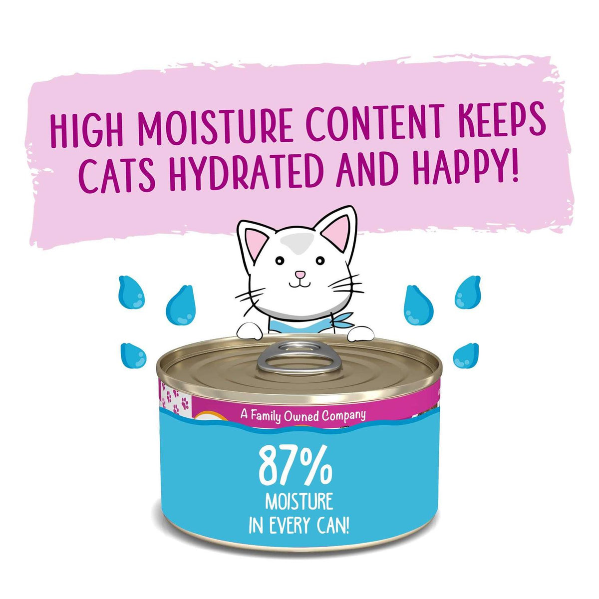 Cat Pate R469341
