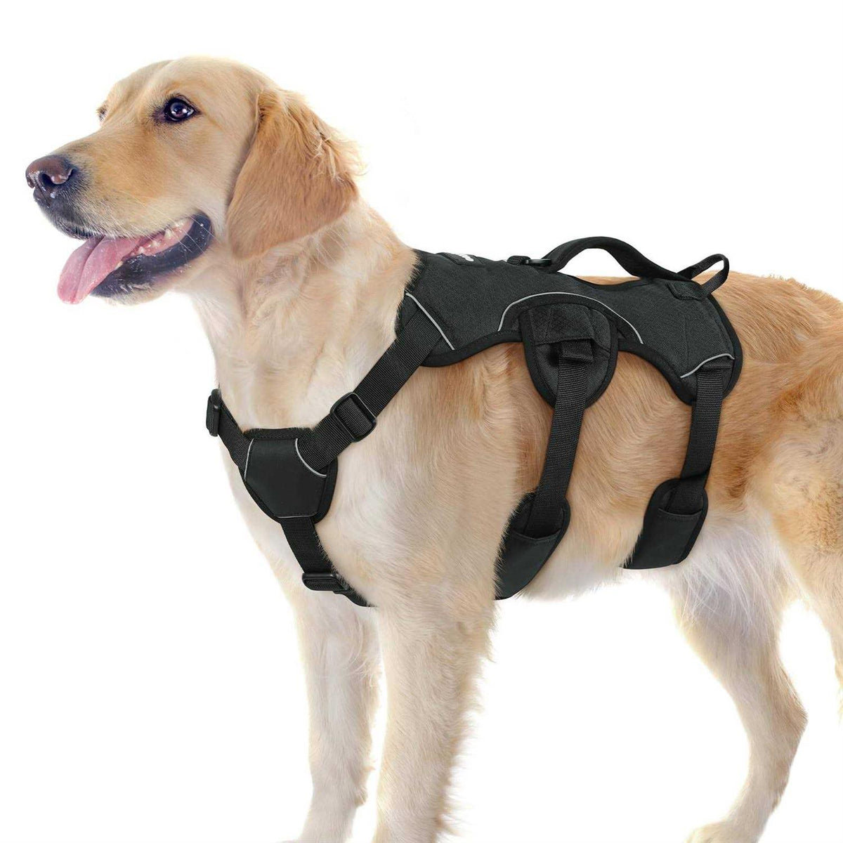Adjustable Soft Padded Dog Harness S421