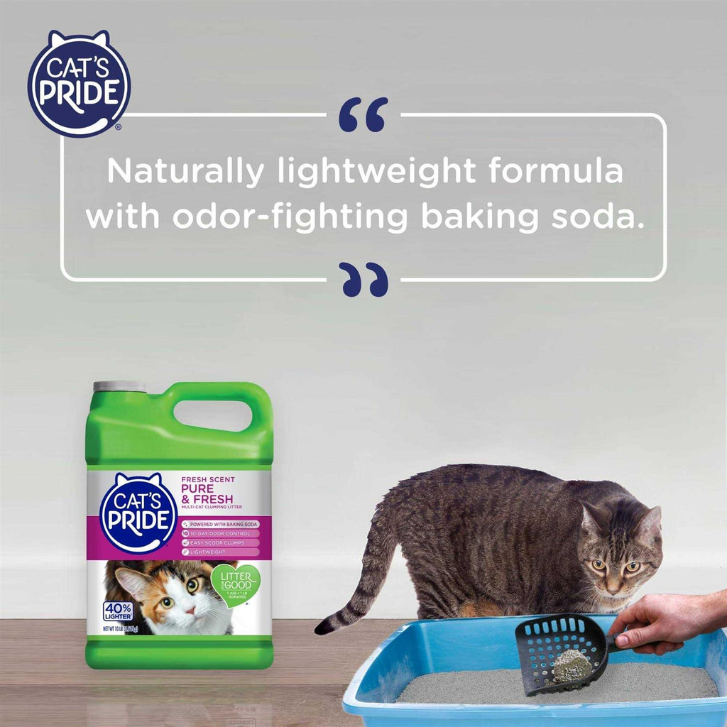 Multi-Cat Clumping Litter N94055